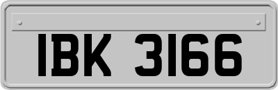 IBK3166