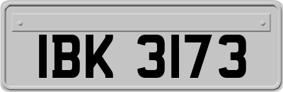 IBK3173