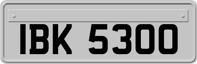 IBK5300