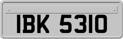 IBK5310