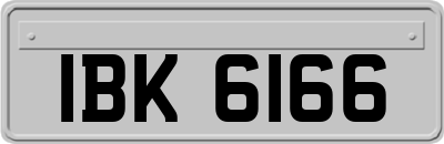 IBK6166