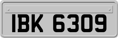 IBK6309