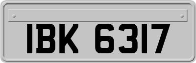 IBK6317