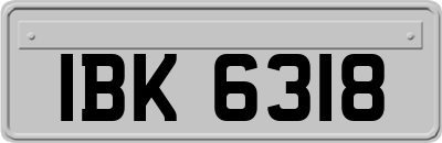 IBK6318