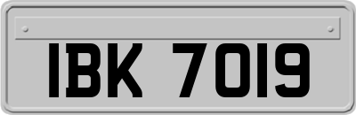 IBK7019