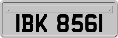 IBK8561