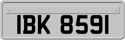 IBK8591