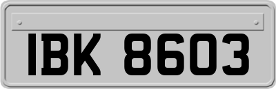 IBK8603