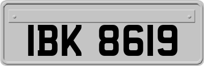 IBK8619