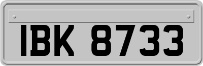 IBK8733