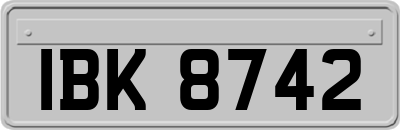 IBK8742