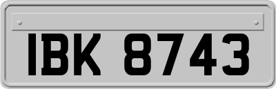 IBK8743