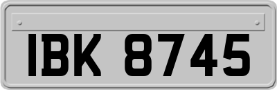 IBK8745