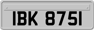 IBK8751