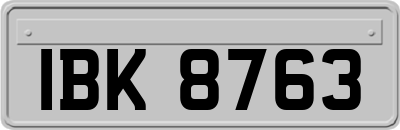 IBK8763