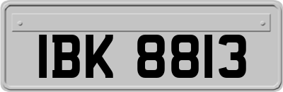 IBK8813