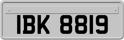 IBK8819