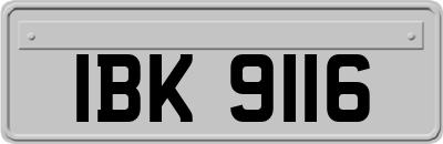 IBK9116