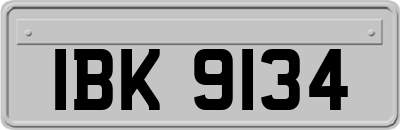 IBK9134