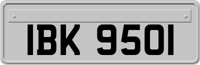 IBK9501