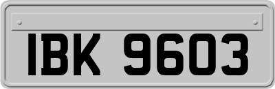 IBK9603