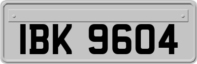 IBK9604