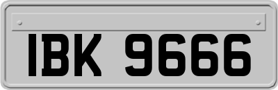 IBK9666