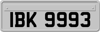 IBK9993