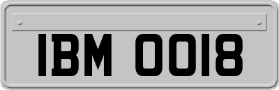 IBM0018