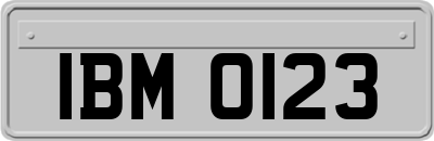 IBM0123