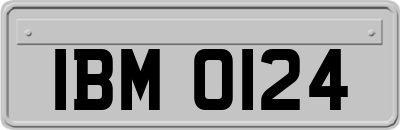 IBM0124