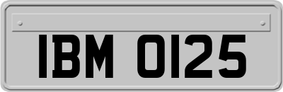 IBM0125