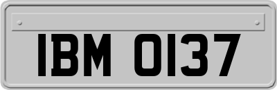 IBM0137