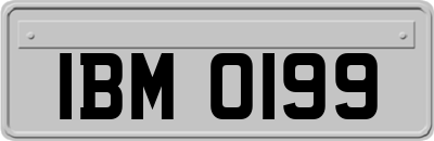 IBM0199