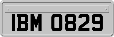 IBM0829