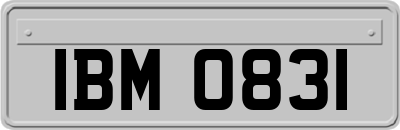 IBM0831