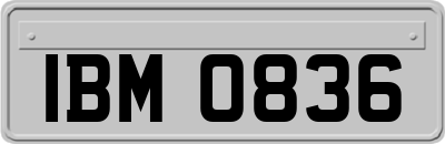 IBM0836