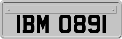 IBM0891