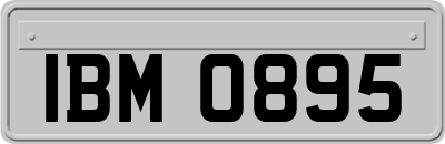 IBM0895