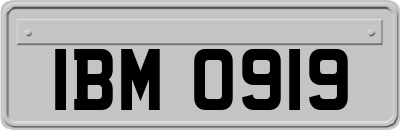 IBM0919