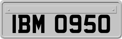 IBM0950