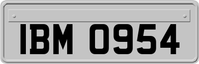 IBM0954