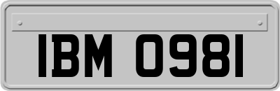 IBM0981