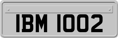 IBM1002