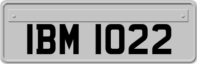 IBM1022