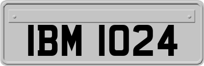 IBM1024