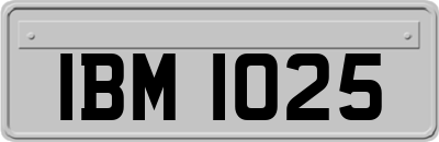 IBM1025