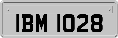 IBM1028