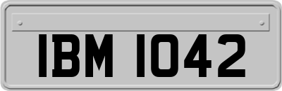 IBM1042