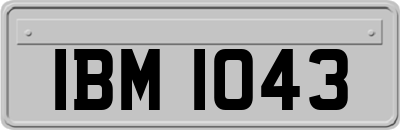 IBM1043